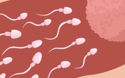 Ini Ciri-Ciri Sperma Sihat Untuk Ikhtiar Hamil Dalam 90 Hari